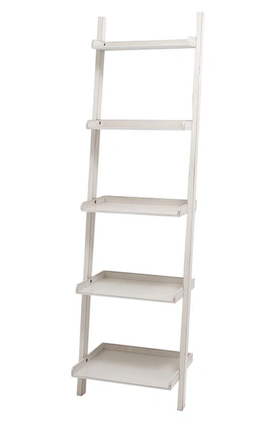 Uma Farmhouse 5-tier Pine Wood Ladder Shelf In Multi