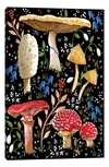 Icanvas Mushroom Love By Thomas Little Canvas Wall Art In Black