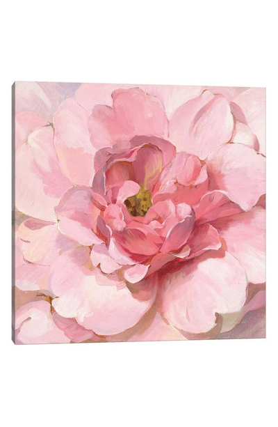 Icanvas Blushing Peony By Danhui Nai Canvas Wall Art In Pink