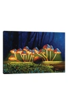 ICANVAS NIGHTLIGHTS GLOWING MUSHROOMS BY YUE ZENG CANVAS WALL ART