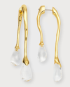 ALEXIS BITTAR LUCITE FRONT-BACK DOUBLE DROP EARRINGS