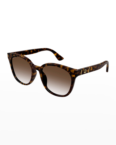 Gucci Gg Round Injection Plastic Sunglasses In Havana