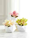 T & C Floral Company Orchid Faux Florals In Ceramic Geometric Pot - 12"
