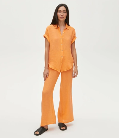 Michael Stars Susie Wide Leg Pant In Marmalade