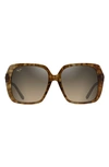 Maui Jim Poolside 55mm Polarized Square Sunglasses In Caramel Tiger