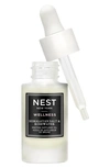 Nest New York 0.5 Oz. Himalayan Salt & Rosewater Misting Diffuser Refill
