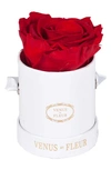 Venus Et Fleur Classic Le Mini™ Round Eternity Rose In Red