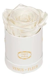 Venus Et Fleur Classic Le Mini™ Round Eternity Rose In Pearl Sheen
