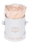 Venus Et Fleur Classic Le Mini™ Round Eternity Rose In Blush