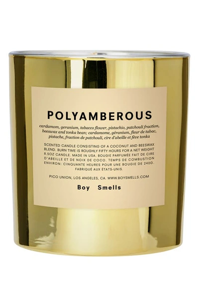 Boy Smells Polyamberous Candle 8.5 oz / 240 G Candle