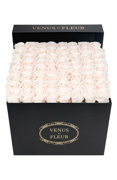 Venus Et Fleur Classic Large Eternity Roses In Blush