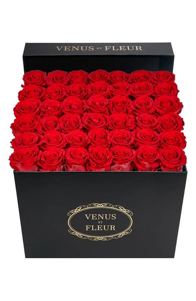 Venus Et Fleur Classic Large Square Rose Box In Red