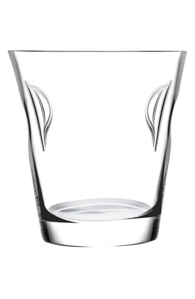 Nude Glacier Ice Bucket