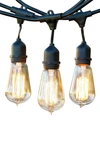 BRIGHTECH BRIGHTECH AMBIENCE VINTAGE OUTDOOR HANGING LIGHTS