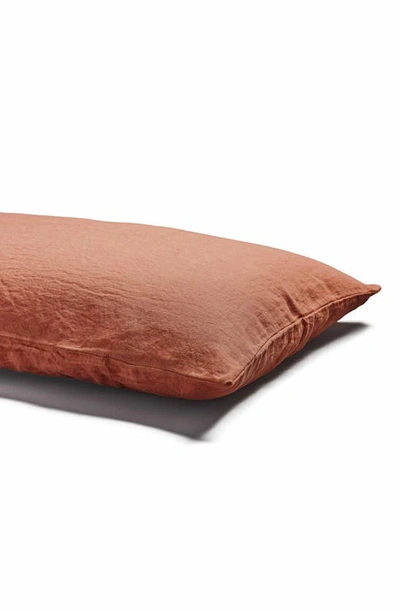 Piglet In Bed Set Of 2 Linen Euro Pillowcases In Burnt Orange