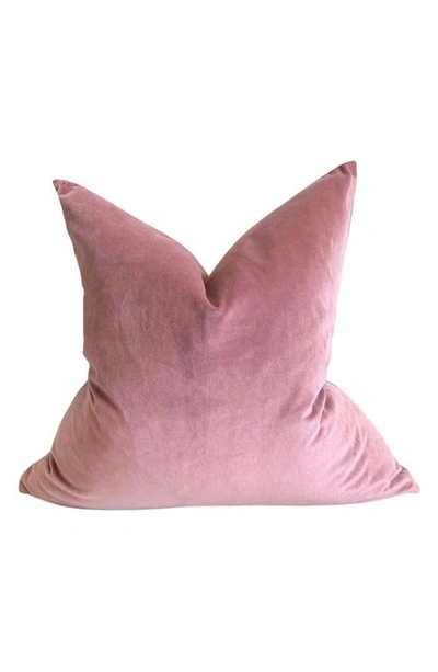 Modish Decor Pillows Velvet Pillow Cover In Blush Rose