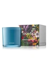 Apotheke Orange Blossom Neroli 3-wick Candle