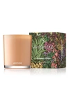 Apotheke Cedarwood Ginger Signature Candle, 11 Oz.