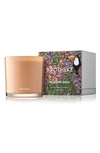 Apotheke Cedarwood Ginger Three-wick Candle