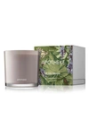Apotheke Black Iris Three-wick Candle In Black Iris Oak