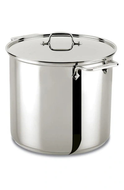 All-clad 16-quart Stainless Steel Stockpot With Lid In Silver
