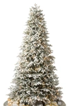 Balsam Hill Artificial Led Frosted Light Fraser Fir Tree In Led Clear