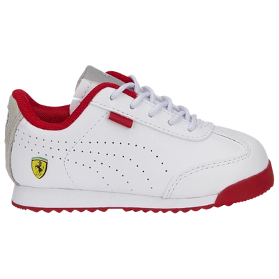 PUMA BOYS PUMA FERRARI ROMA VIA PERF