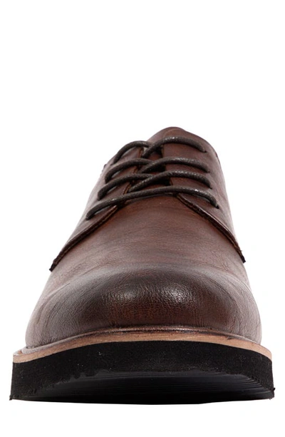 Deer Stags Walkmaster Plain Toe Derby In Brown