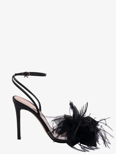 Gianvito Rossi Feather-embellished Sandals In Black