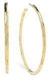 Ippolita Hoop Earrings In Green Gold