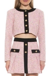 Alexia Admor Cropped Tweed Jacket In Pink Multi