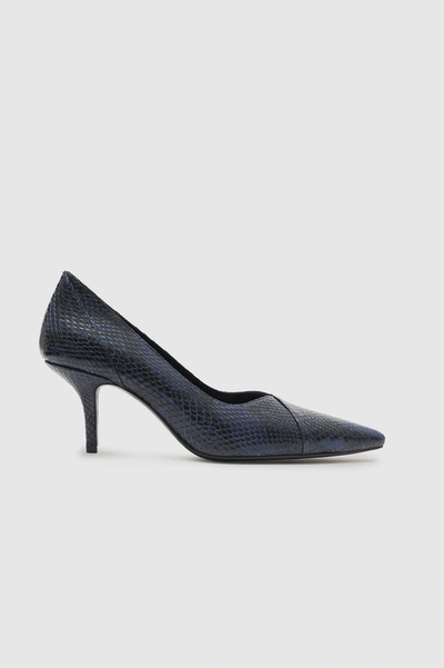 Anine Bing Devon Snakeskin-effect Pumps In Blue