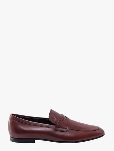 Tod's Loafer In Brown