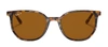 Ray Ban Rb2197 135757 Square Polarized Sunglasses In Brown