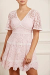 Needle & Thread Lace Primrose Micro Mini Dress In Pink