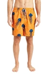 RAINFOREST RAINFOREST SO JELLY SWIM SHORTS