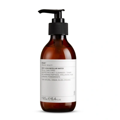 Evolve Organic Beauty Deep Clean Micellar Water