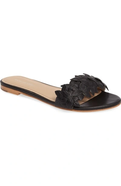 Pour La Victoire Lani Leather Floral Embellished Slide Sandals In Black