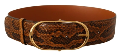 DOLCE & GABBANA DOLCE & GABBANA ELEGANT PYTHON SKIN LEATHER WOMEN'S BELT