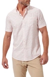 Mizzen + Main Leeward Regular Fit Palm Tree Print Short Sleeve Performance Button-up Shirt In Pink Palm