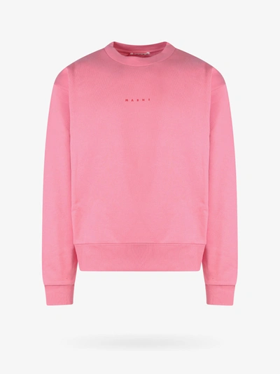 Marni Logo Cotton Crewneck Sweatshirt In Pink Candy