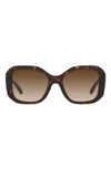 Tory Burch 52mm Gradient Butterfly Sunglasses In Dk Tort