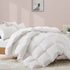 PUREDOWN Made in Germany 800 Fill Power 90% Down Fill European White Goose Down Comforter - Extra Warm