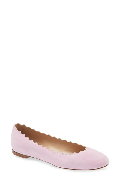 Chloé Chloe Lauren Scalloped Leather Ballerina Flat In Purple