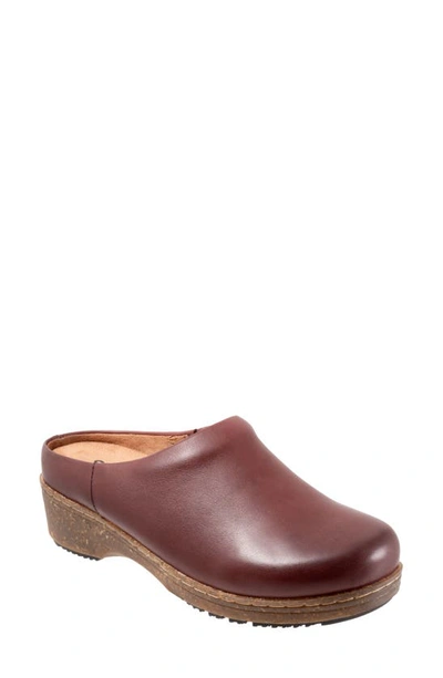 SOFTWALK SOFTWALK® ARVADA MULE