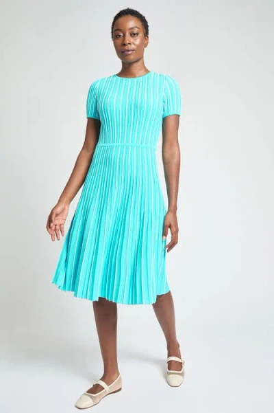 6010 Modern Fit Jewel Neck Striped Flare Soft Knit Dress In Blue