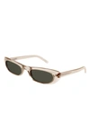 Saint Laurent Slim Oval Acetate Sunglasses In Neutral