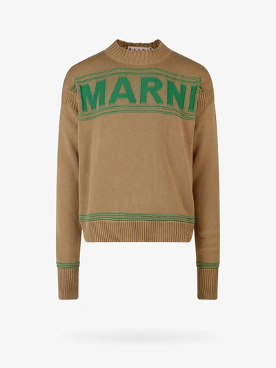 Marni Dark Yellow Cotton-knit Sweater With Inlaid Logo In Beige
