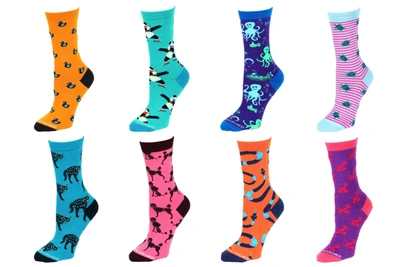 Unsimply Stitched 8 Pair Value Pack Women's Socks 1000 In Multi