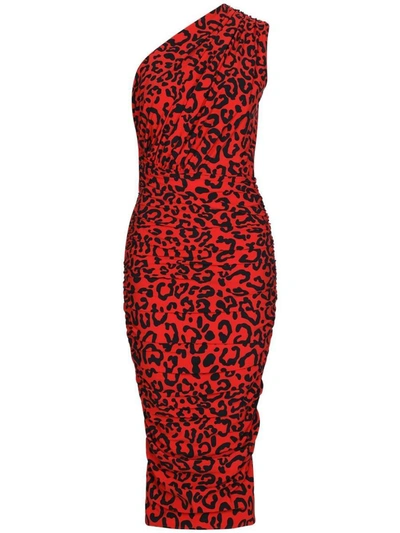 Dolce & Gabbana Leopard-print One-shoulder Dress In Red